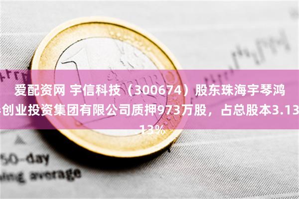 爱配资网 宇信科技（300674）股东珠海宇琴鸿泰创业投资集团有限公司质押973万股，占总股本3.13%