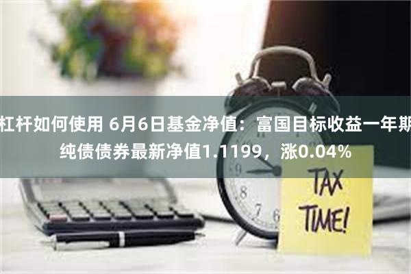 杠杆如何使用 6月6日基金净值：富国目标收益一年期纯债债券最新净值1.1199，涨0.04%