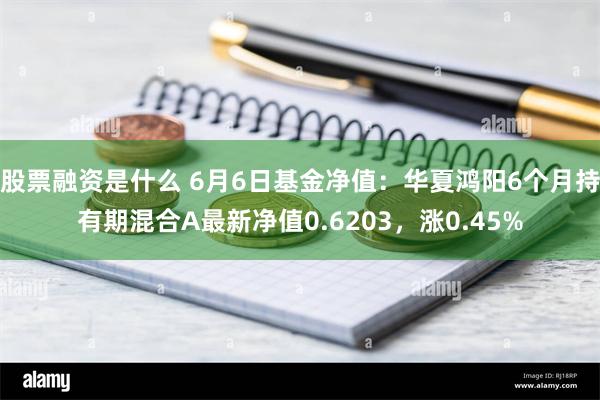 股票融资是什么 6月6日基金净值：华夏鸿阳6个月持有期混合A最新净值0.6203，涨0.45%