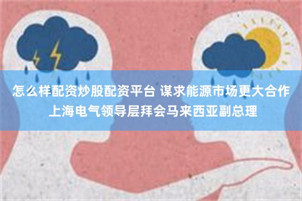 怎么样配资炒股配资平台 谋求能源市场更大合作 上海电气领导层拜会马来西亚副总理