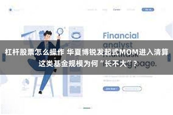 杠杆股票怎么操作 华夏博锐发起式MOM进入清算 这类基金规模为何“长不大”？