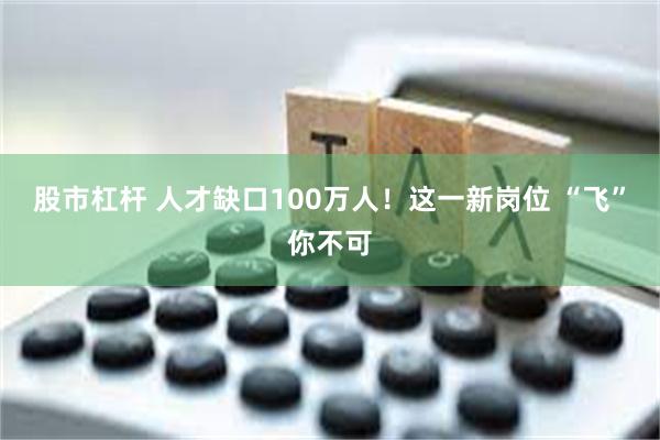 股市杠杆 人才缺口100万人！这一新岗位 “飞”你不可