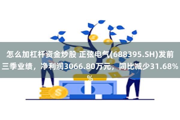 怎么加杠杆资金炒股 正弦电气(688395.SH)发前三季业绩，净利润3066.80万元，同比减少31.68%