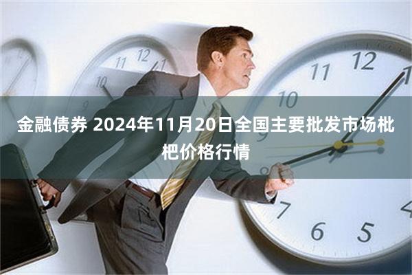 金融债券 2024年11月20日全国主要批发市场枇杷价格行情