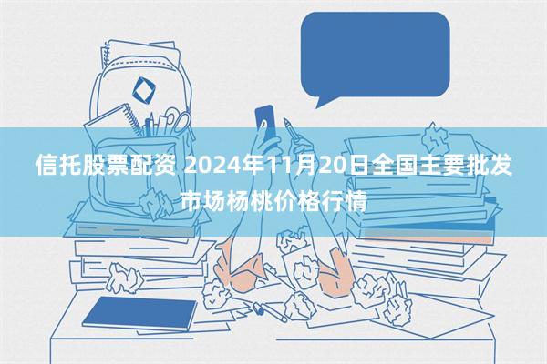 信托股票配资 2024年11月20日全国主要批发市场杨桃价格行情