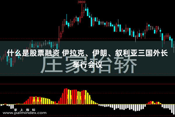 什么是股票融资 伊拉克、伊朗、叙利亚三国外长举行会议