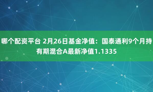 哪个配资平台 2月26日基金净值：国泰通利9个月持有期混合A最新净值1.1335