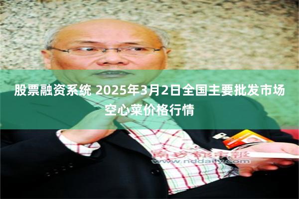 股票融资系统 2025年3月2日全国主要批发市场空心菜价格行情