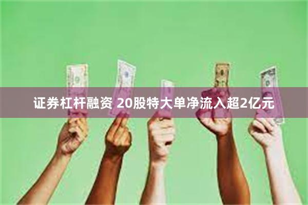 证券杠杆融资 20股特大单净流入超2亿元